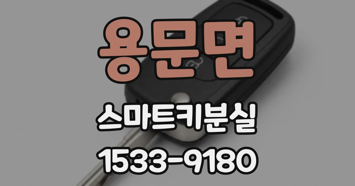용문면 스마트키분실