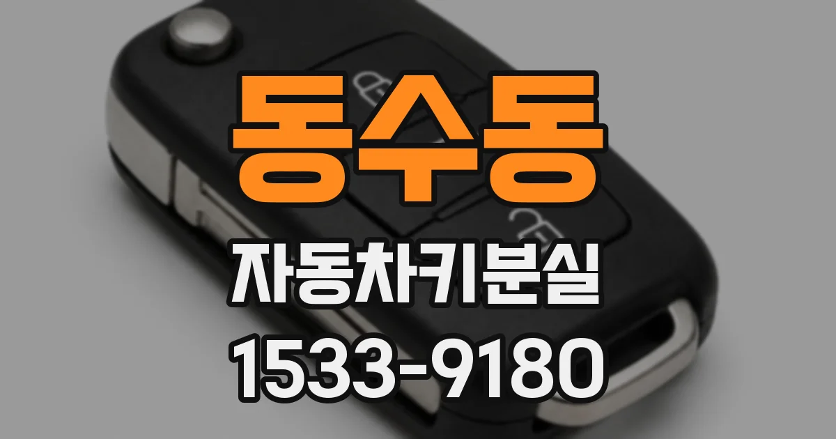 동수동 자동차키분실