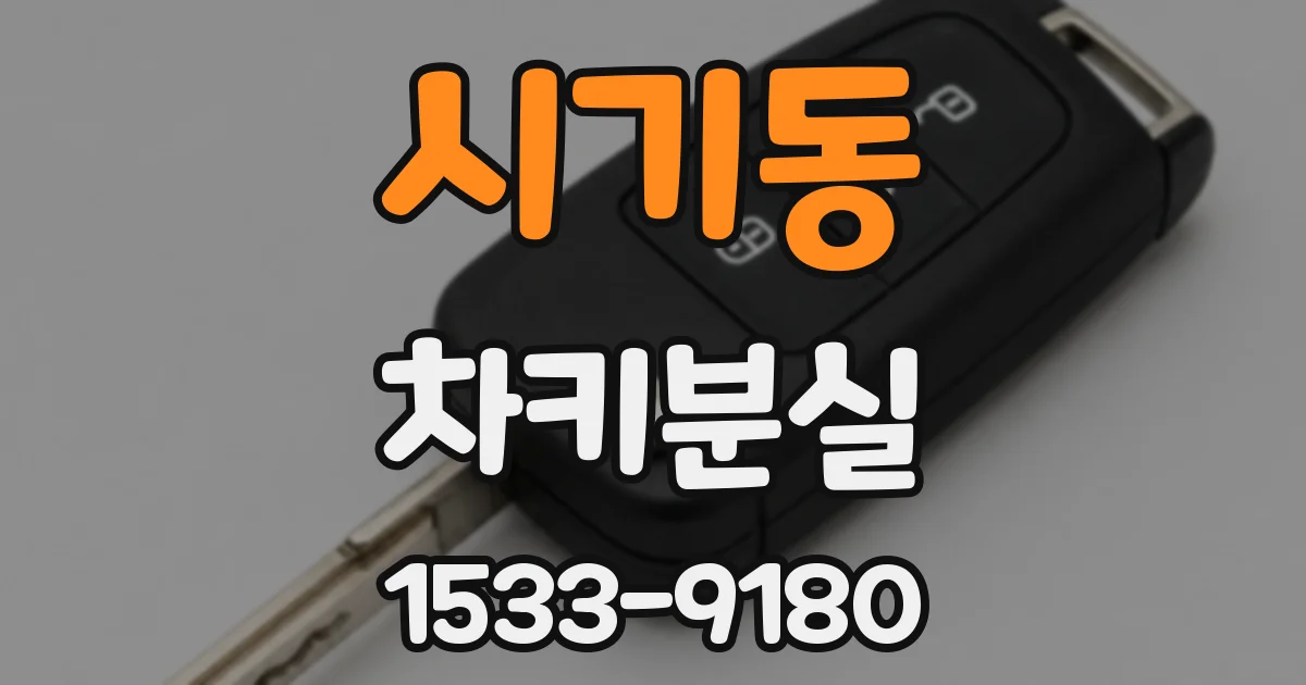 시기동 차키분실