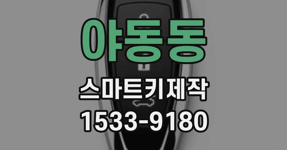야동동 스마트키제작