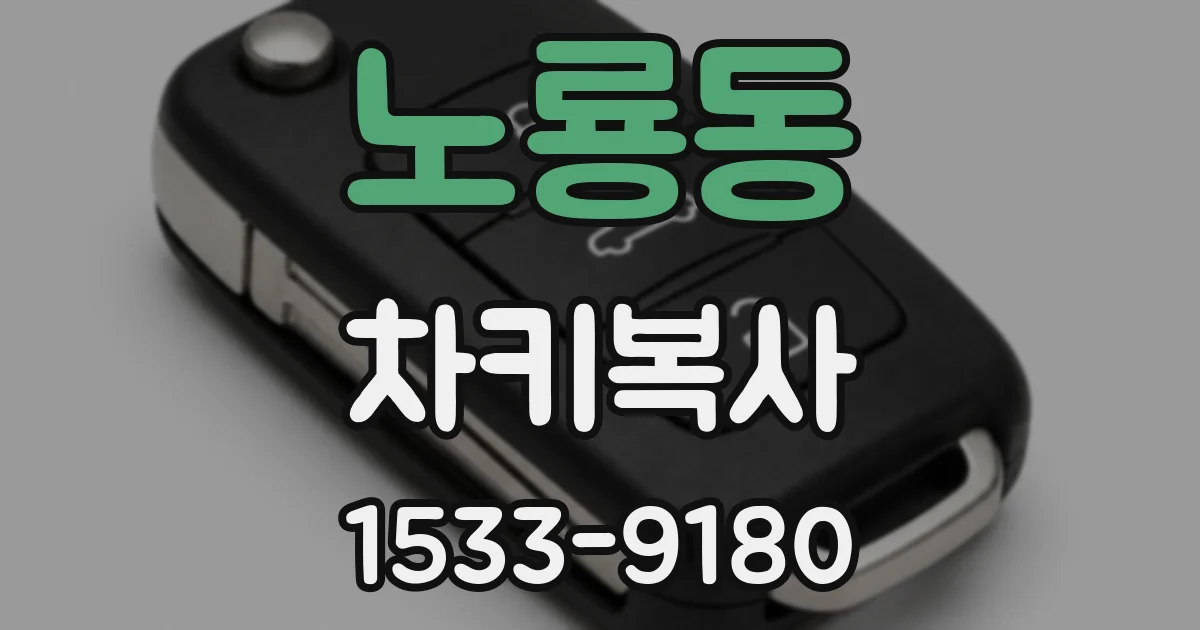 노룡동 차키복사