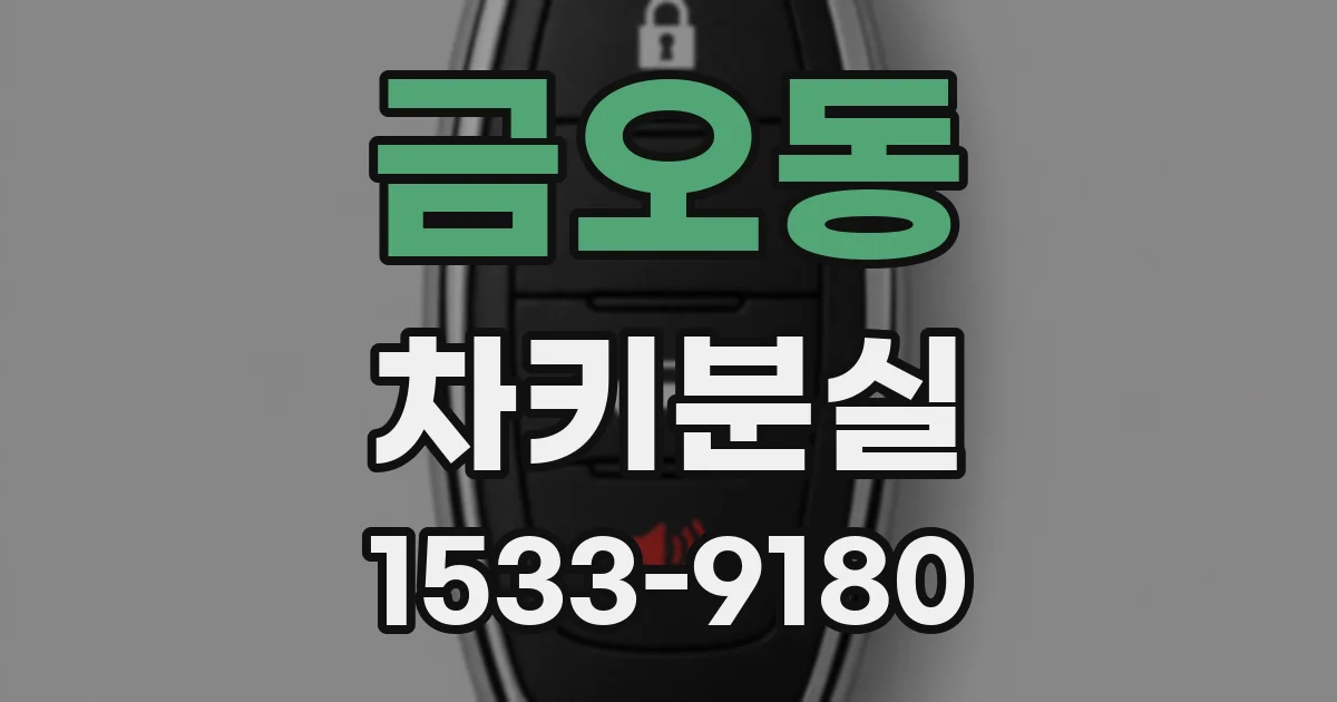금오동 차키분실