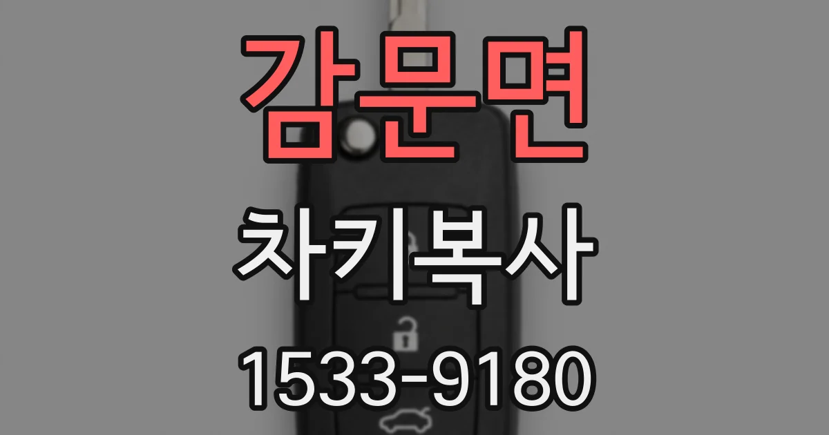 감문면 차키복사
