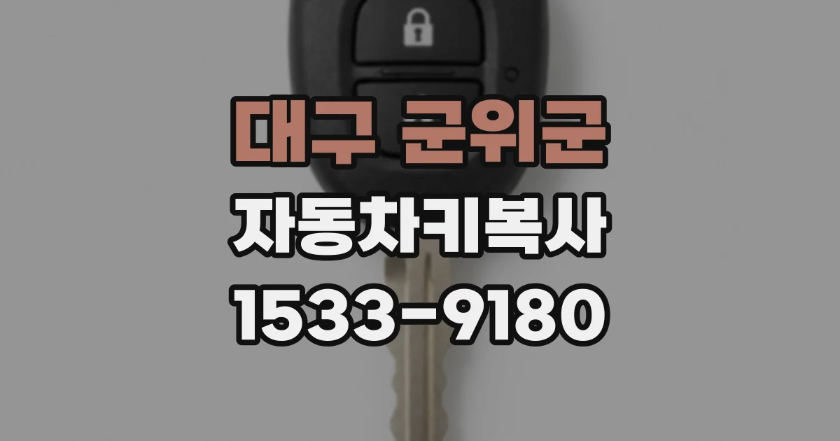 대구 군위군 자동차키복사