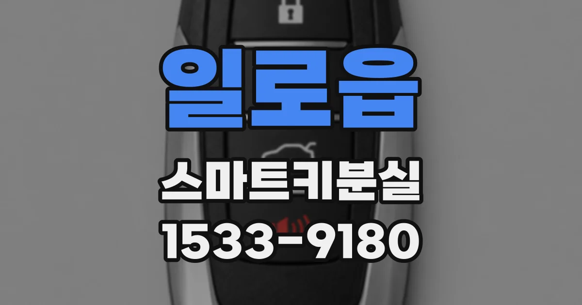 일로읍 스마트키분실