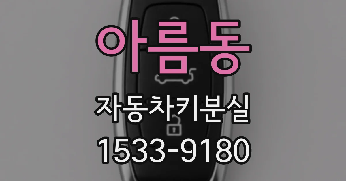 아름동 자동차키분실