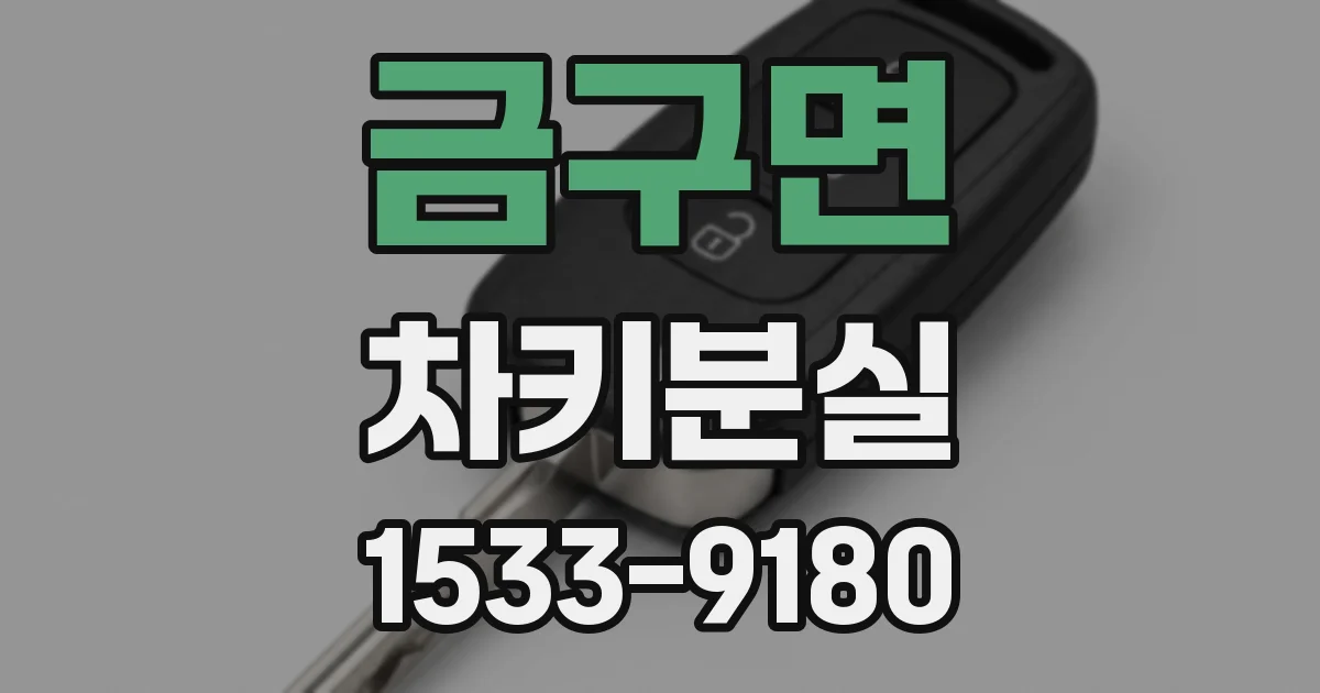 금구면 차키분실