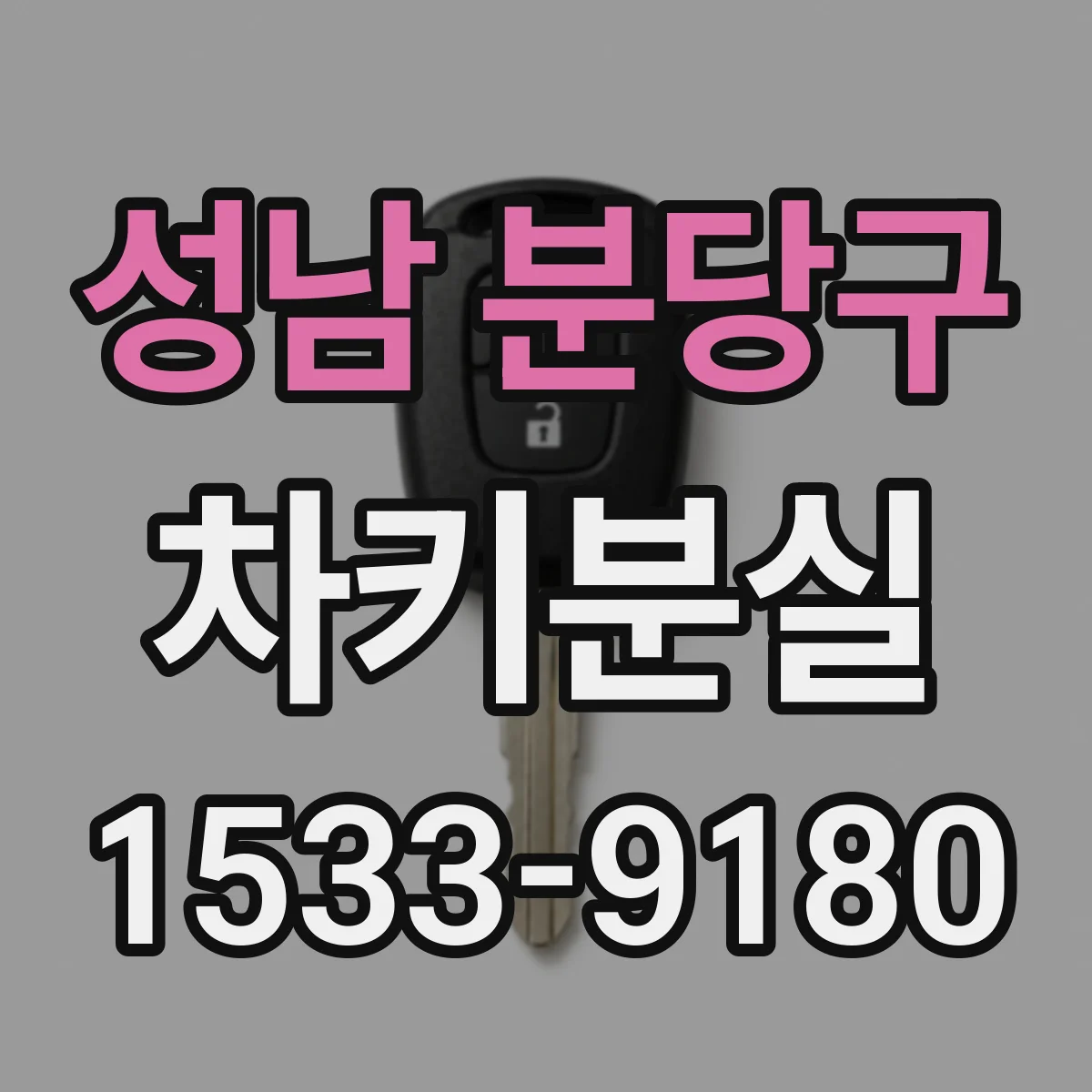 성남 분당구 차키분실