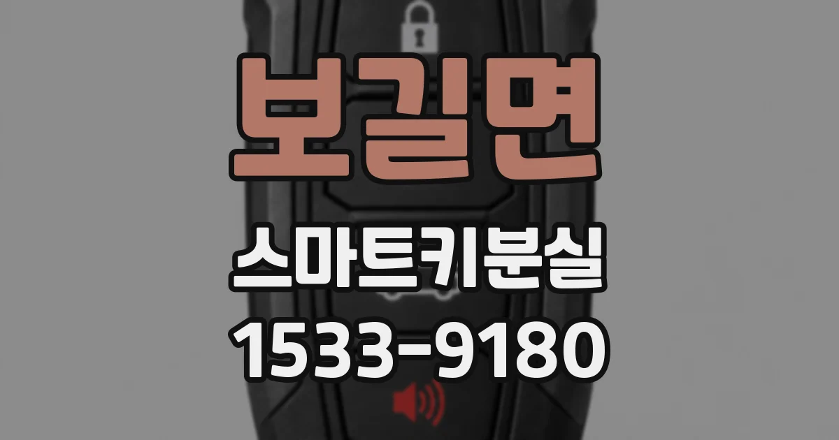 보길면 스마트키분실