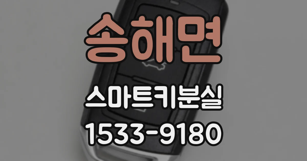 송해면 스마트키분실