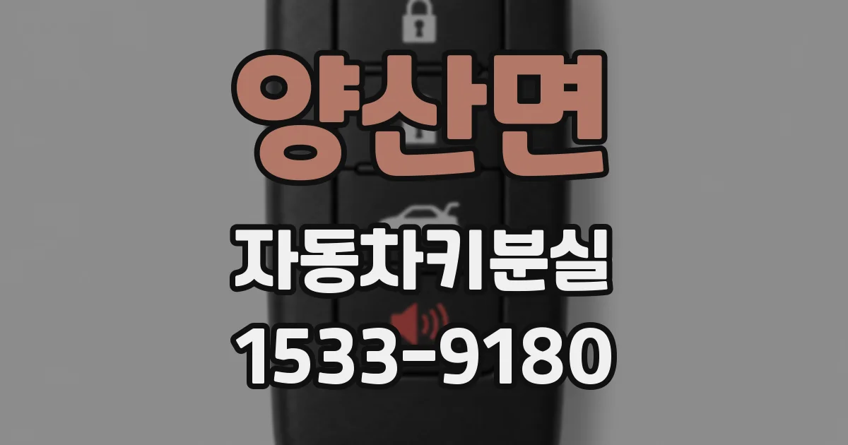 양산면 자동차키분실