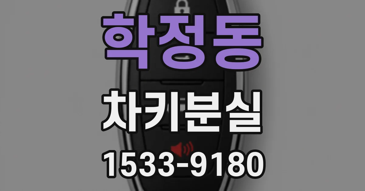 학정동 차키분실