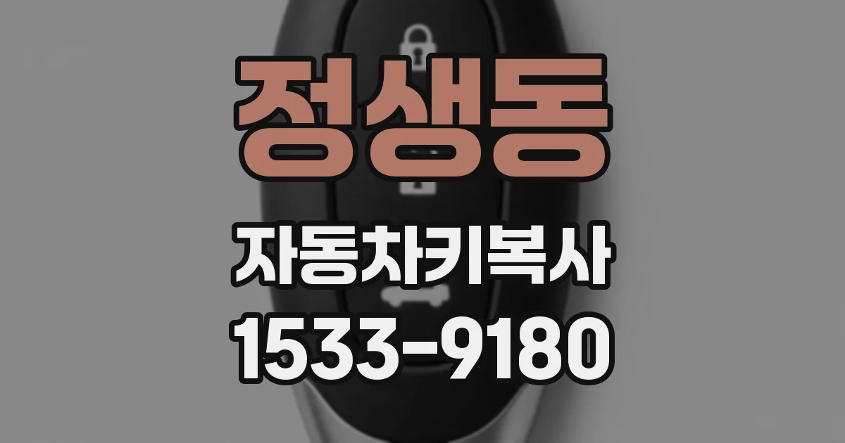 정생동 자동차키복사