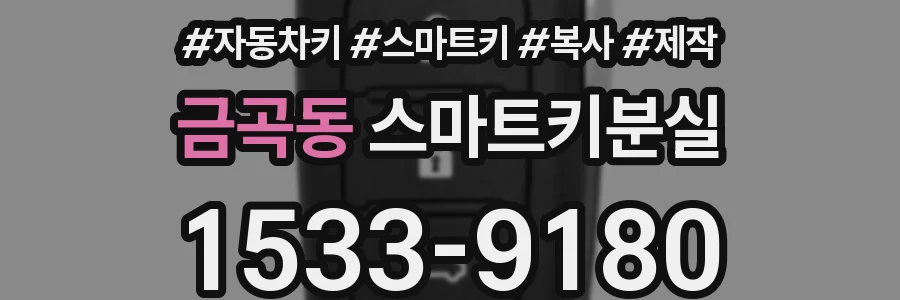 금곡동 스마트키분실