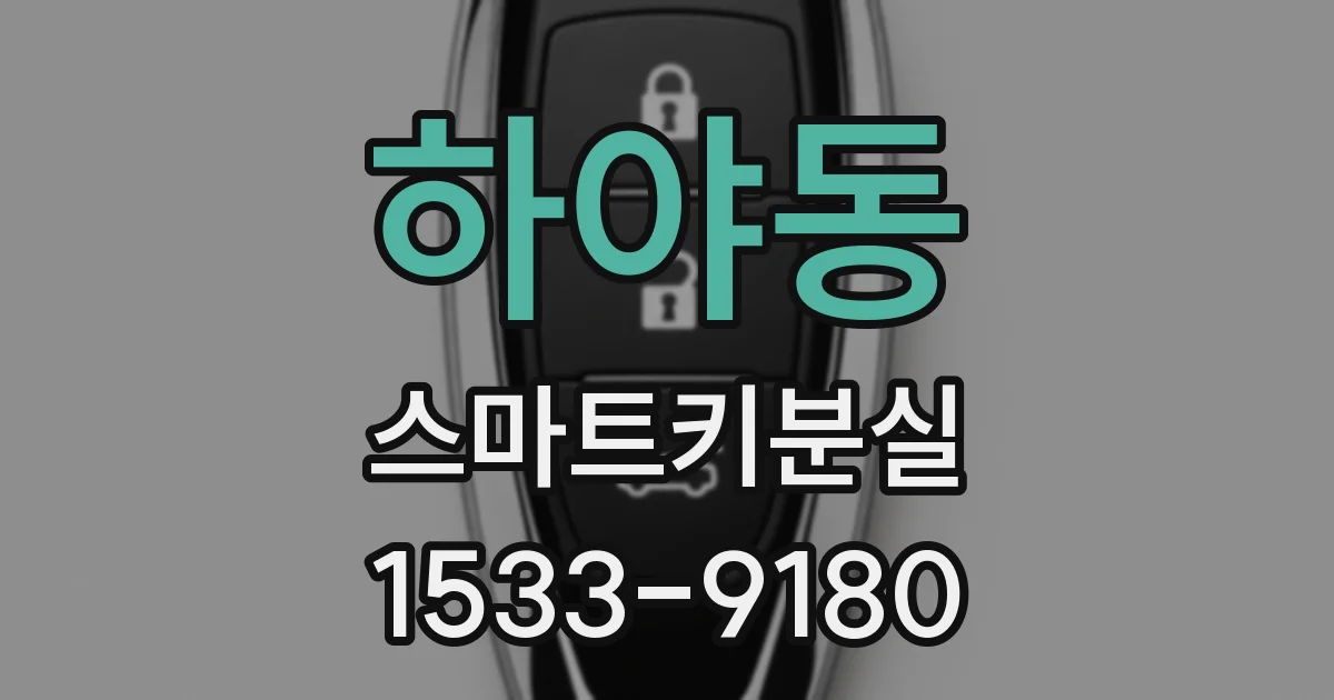 하야동 스마트키분실