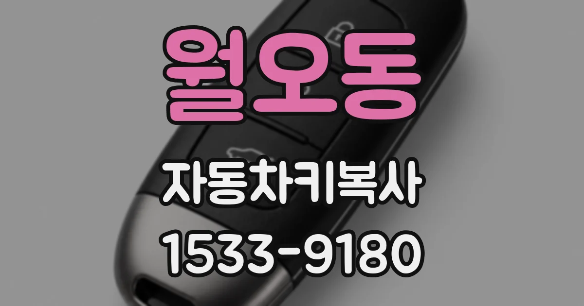 월오동 자동차키복사