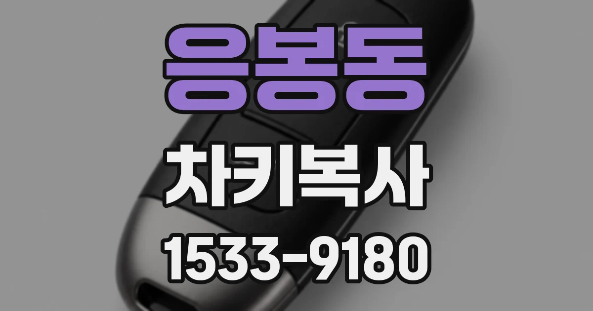 응봉동 차키복사