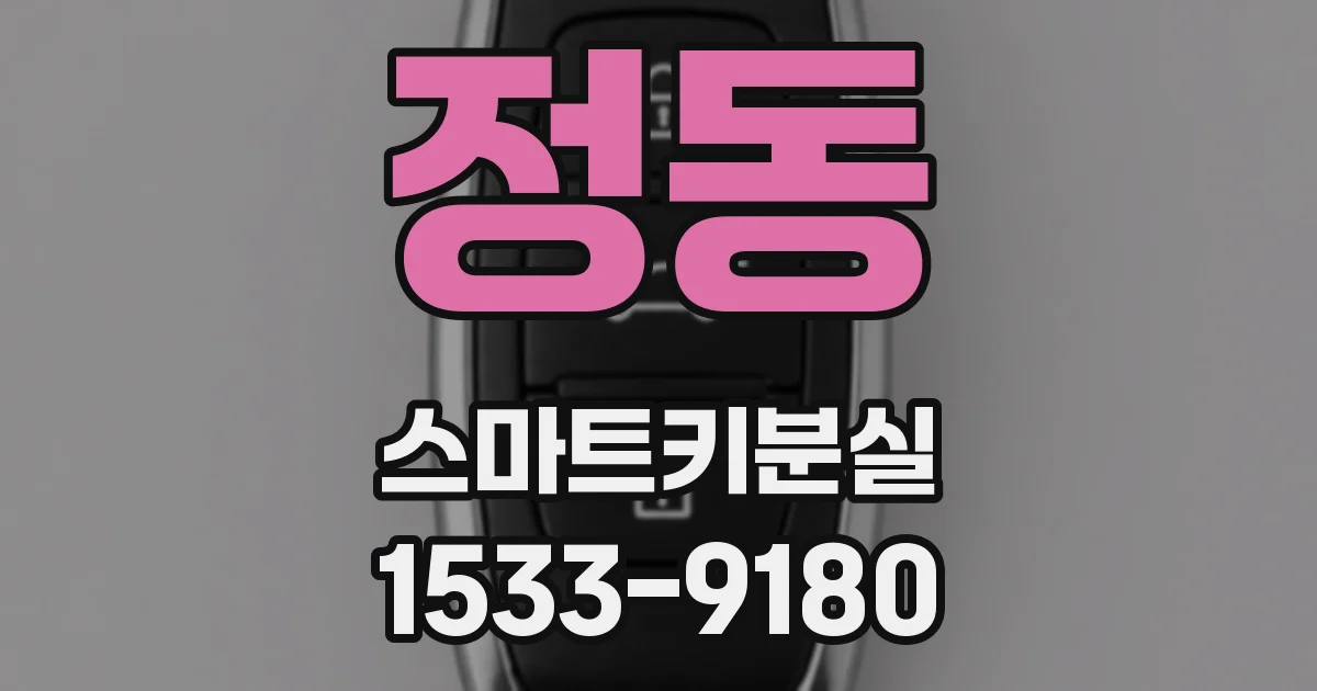 정동 스마트키분실