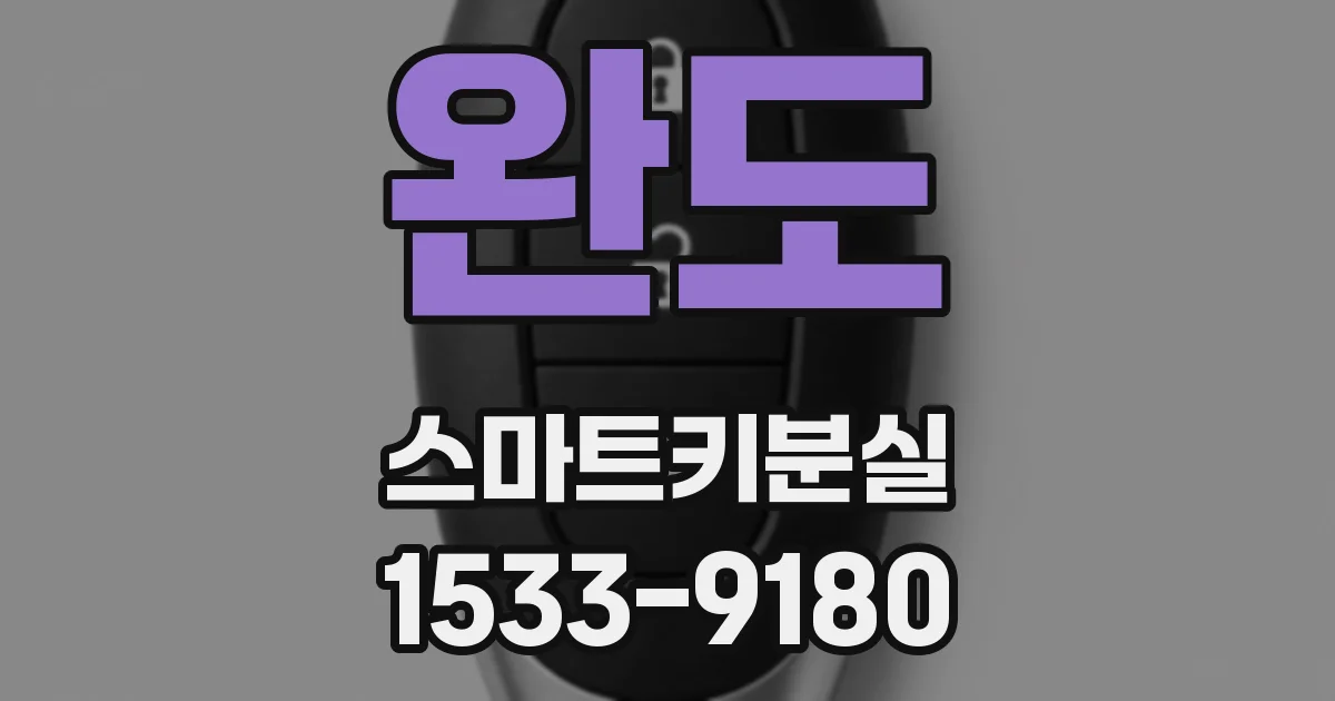 완도 스마트키분실