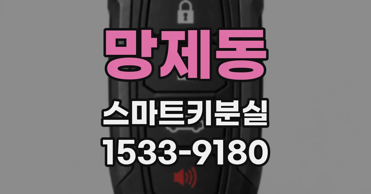 망제동 스마트키분실