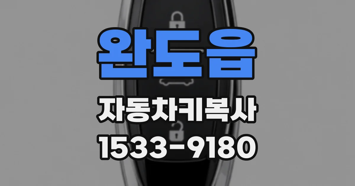 완도읍 자동차키복사