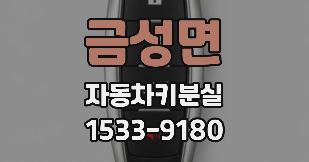 금성면 자동차키분실