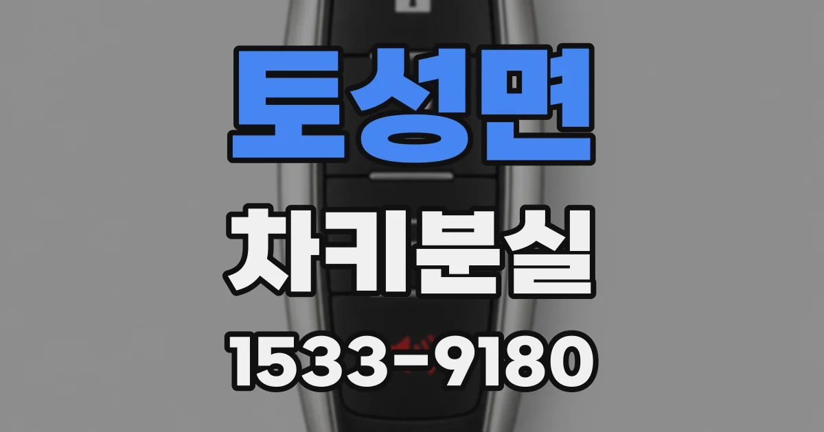토성면 차키분실