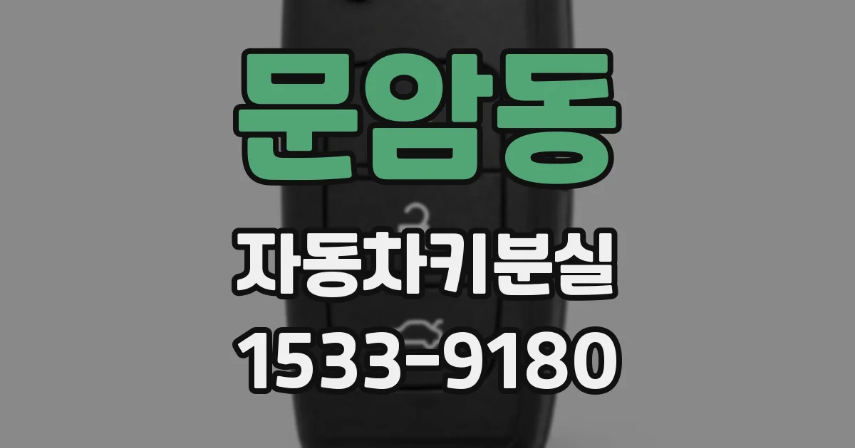 문암동 자동차키분실