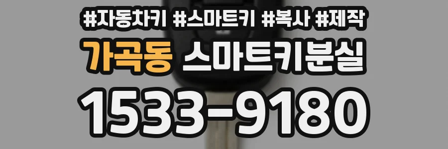 가곡동 스마트키분실