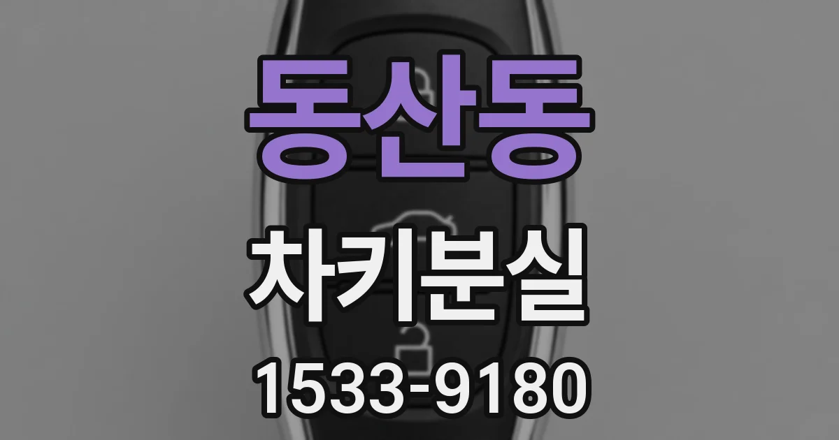 동산동 차키분실