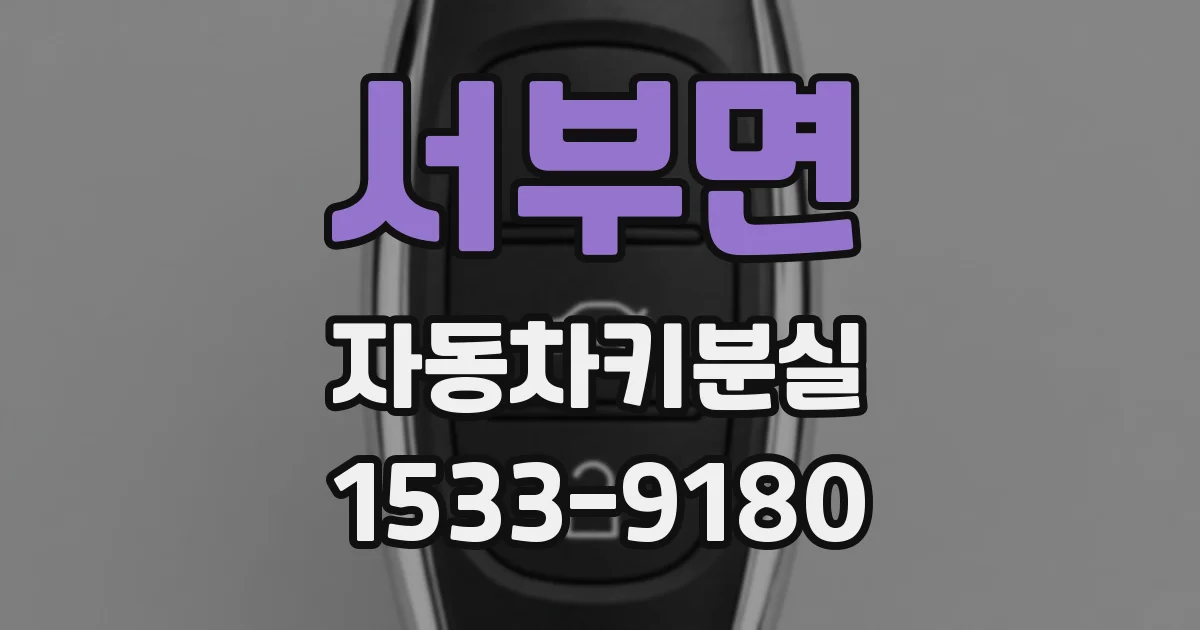 서부면 자동차키분실