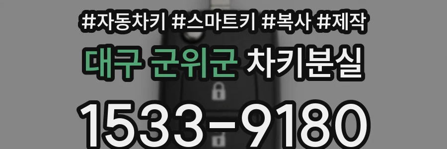 대구 군위군 차키분실