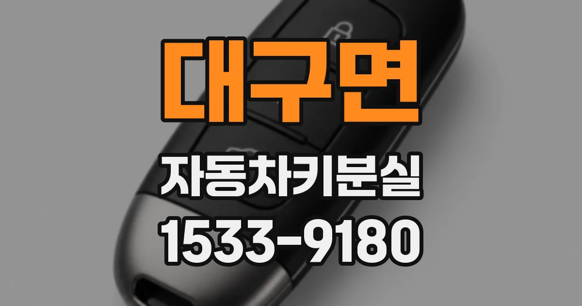 대구면 자동차키분실