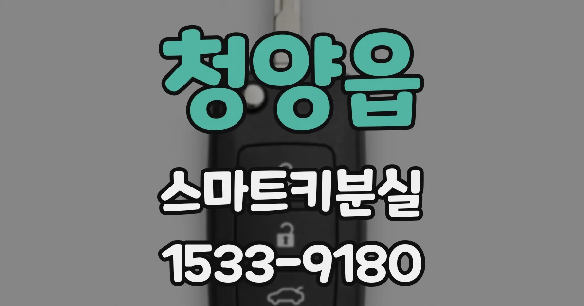 청양읍 스마트키분실