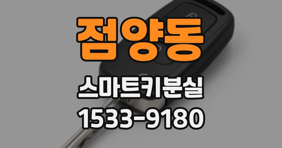 점양동 스마트키분실