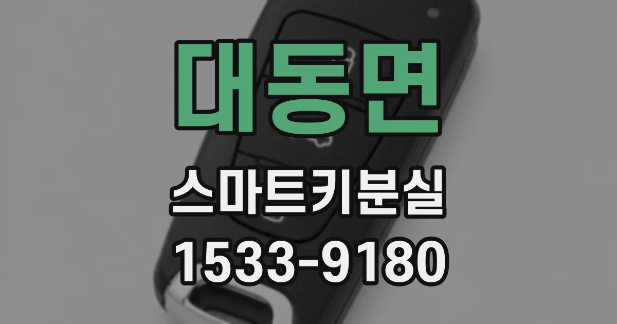 대동면 스마트키분실