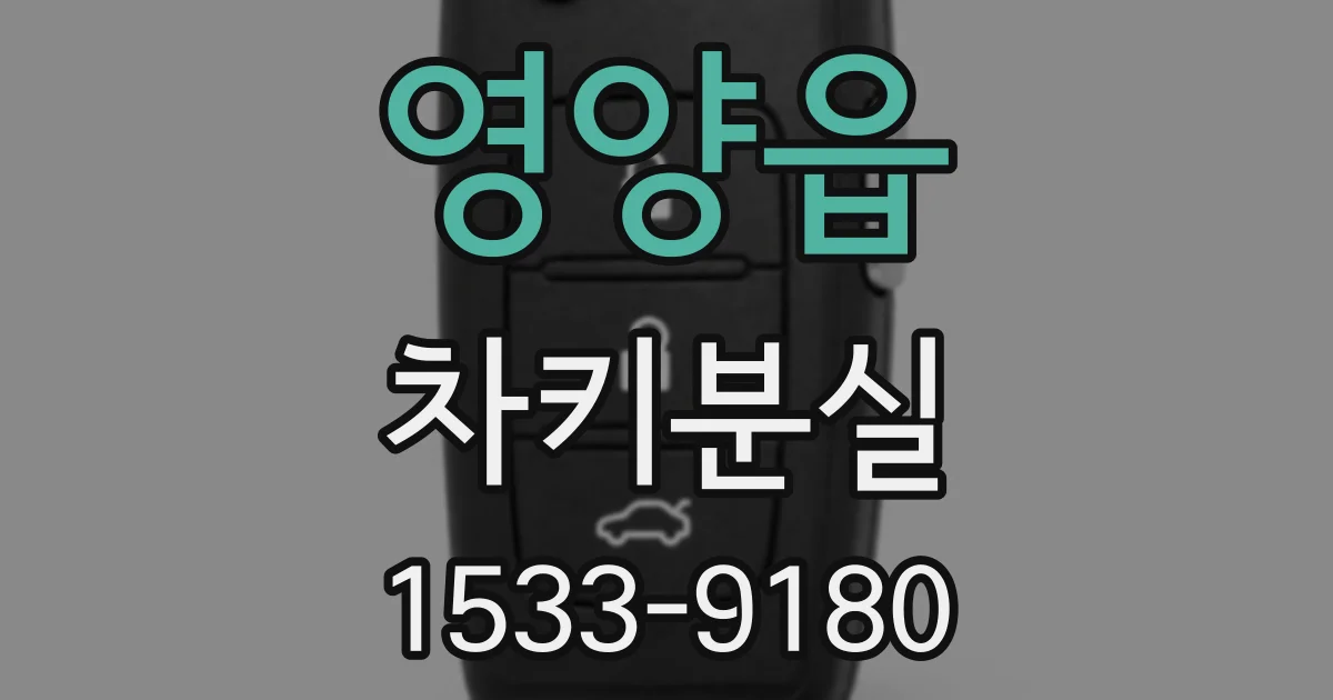 영양읍 차키분실