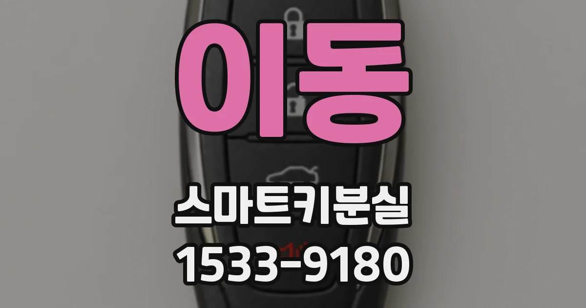이동 스마트키분실