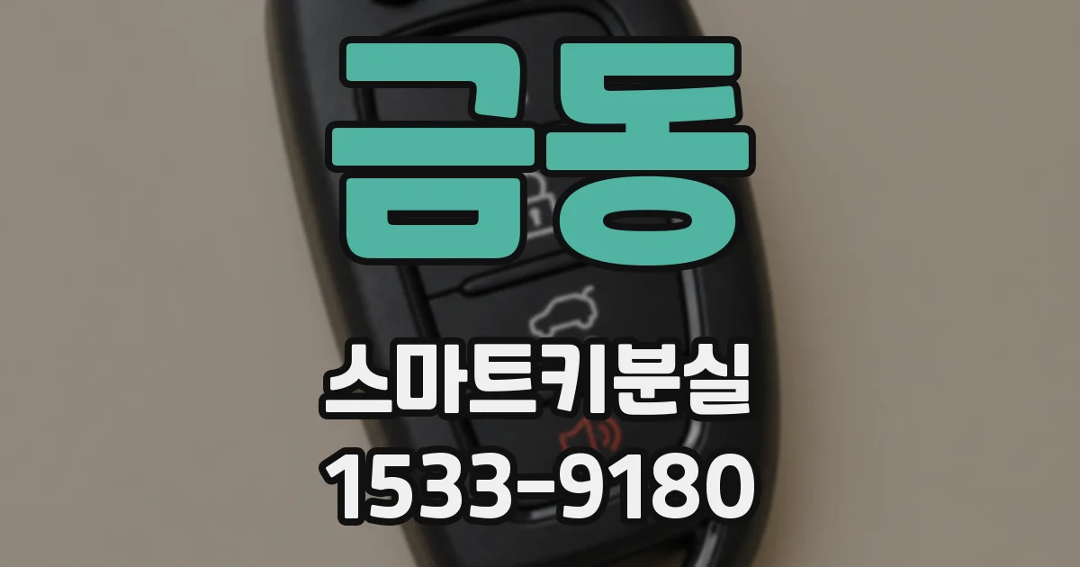 금동 스마트키분실