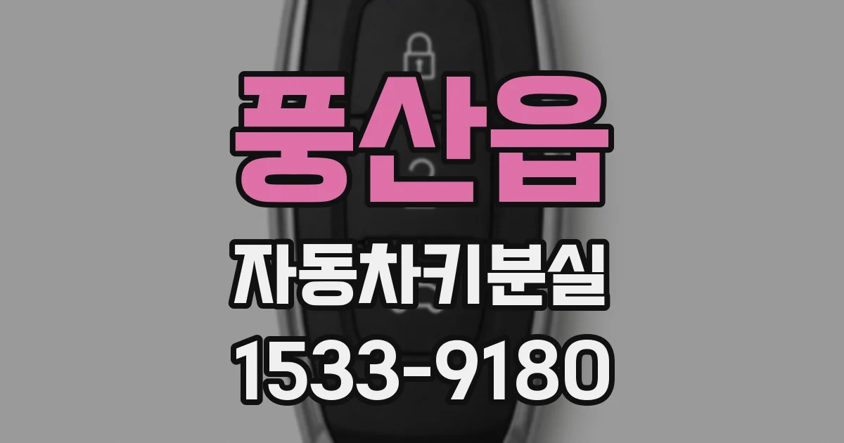풍산읍 자동차키분실