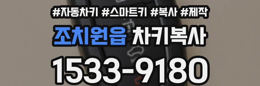 조치원읍 차키복사