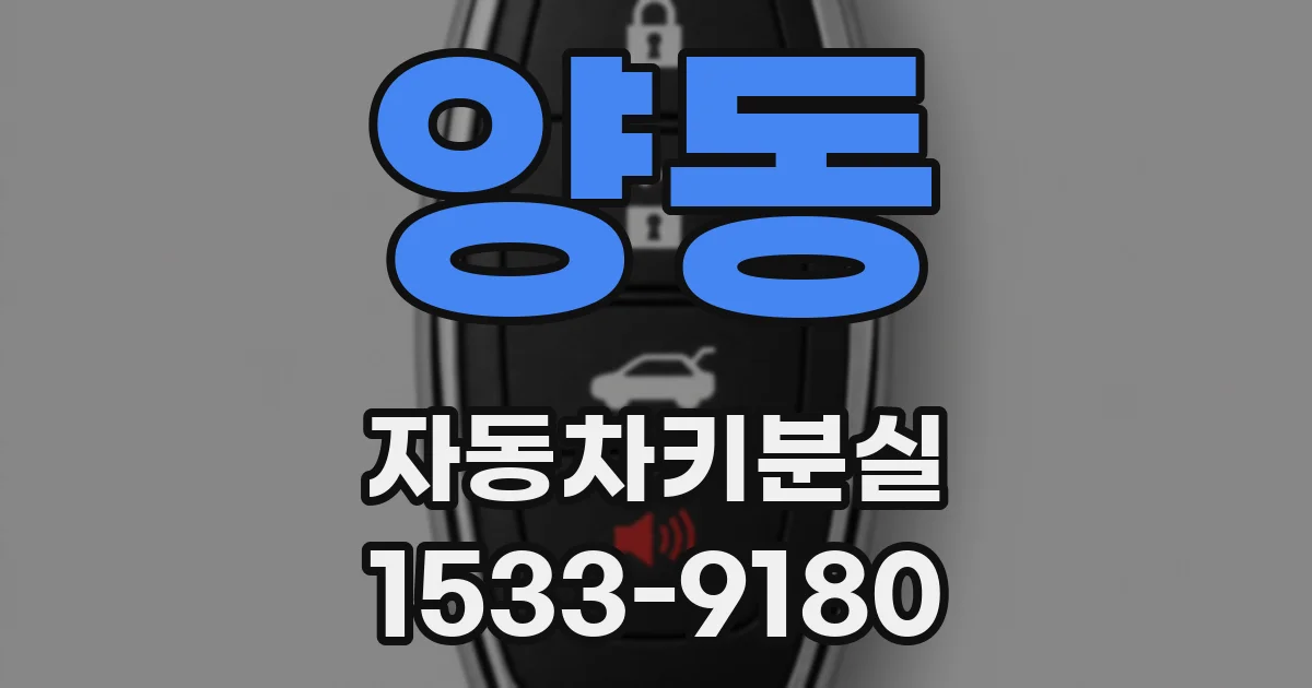 양동 자동차키분실
