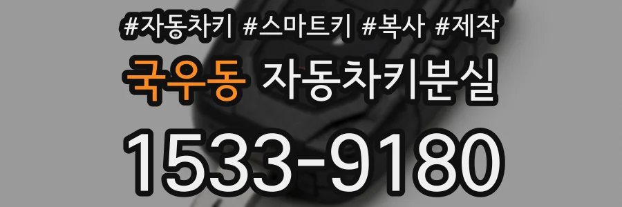 국우동 자동차키분실