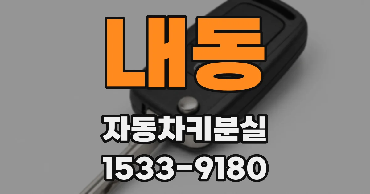 내동 자동차키분실