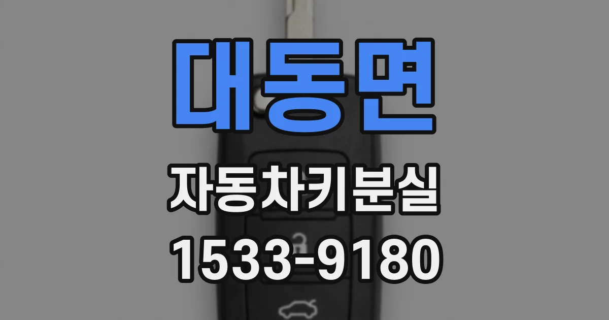 대동면 자동차키분실