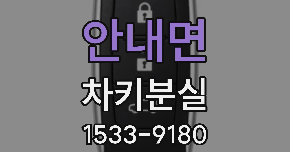 안내면 차키분실