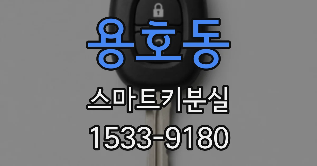 용호동 스마트키분실