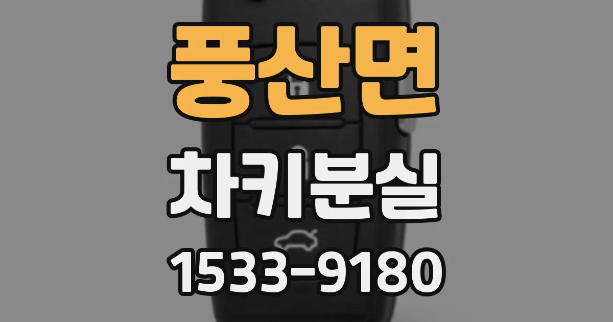 풍산면 차키분실