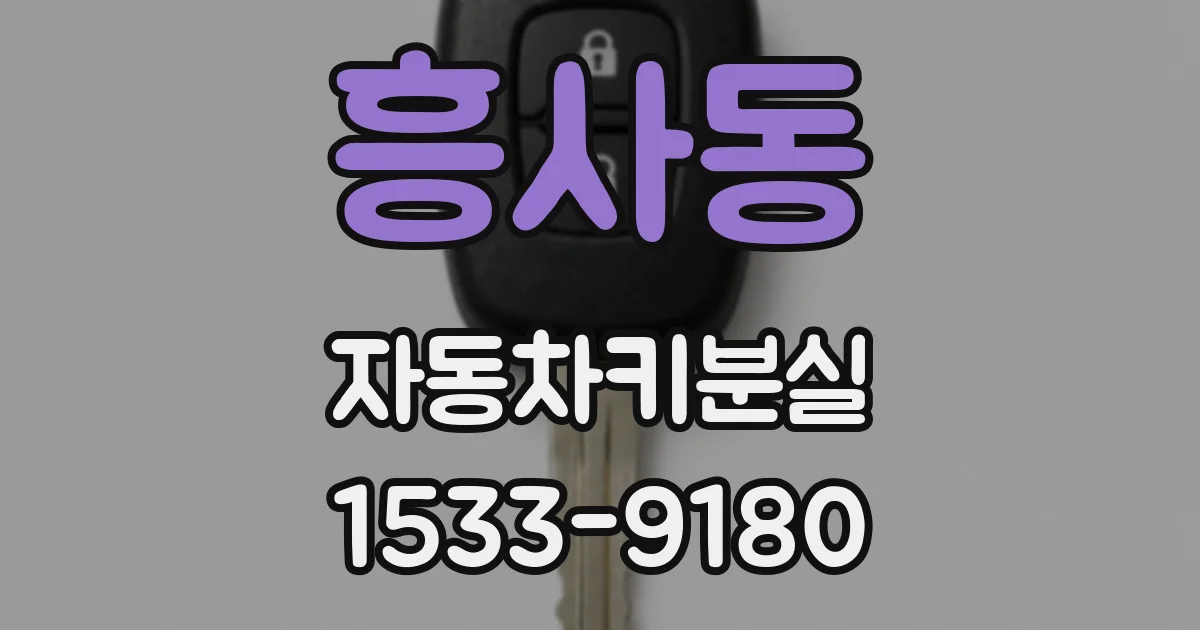 흥사동 자동차키분실