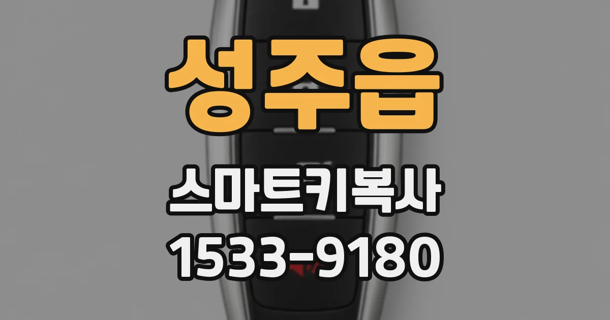 성주읍 스마트키복사